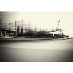 dailyPhoto40